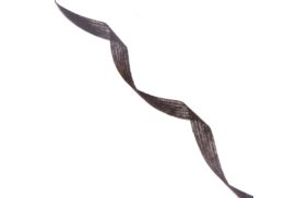 лента нитепрошивная 10мм цв черный (рул 100м) danelli l4yp44 купить по 148 - в интернет - магазине Веллтекс | Махачкала 
.
